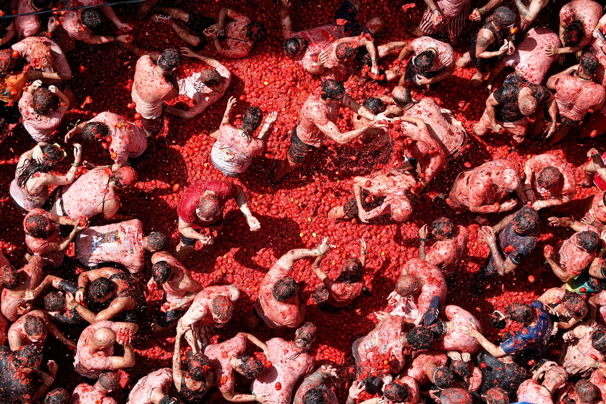 Tomatina, batalla a tomatazos y una marea roja en pueblo español, viral en todo el mundo