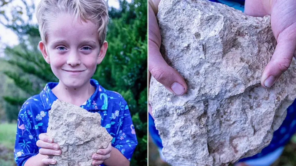 6-year-old Nebraska boy finds rare fossil unseen in state for over 55 years