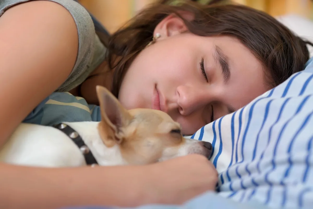 Dormir perto do cão estraga o sono (do cão)