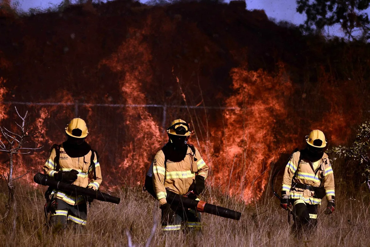 MMA reforça prevenção contra incêndios florestais diante de Super El Niño