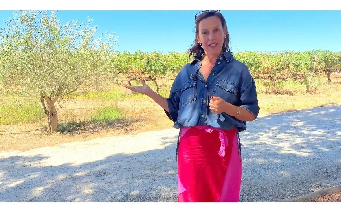 Programa AL VINO mostra a face moderna da tradicional região do Alentejo