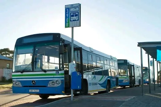 South African bus drivers flock to Ireland amid EU shortage