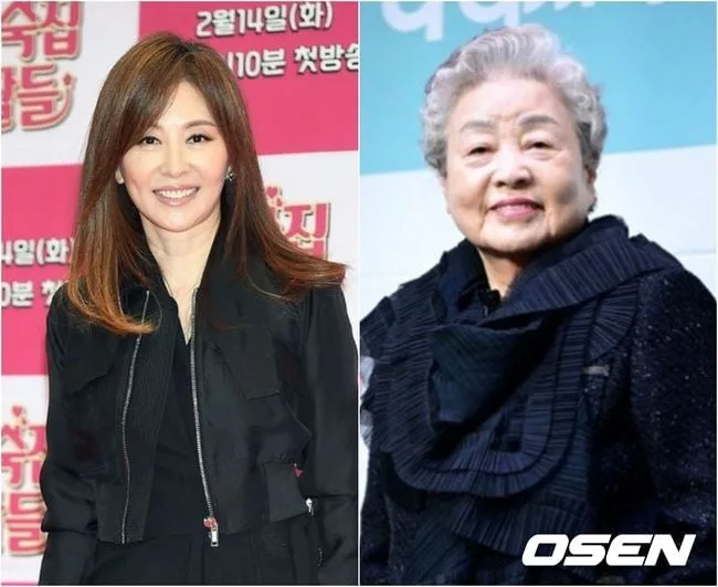 강부자, 이미숙 "새해 복 많이 받으세용" 문자에 분노…갑론을박도 [핫피플]