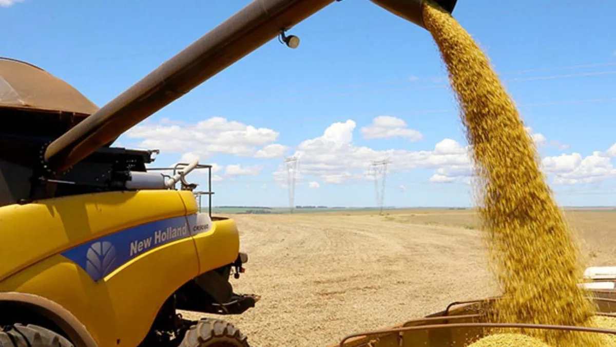 Governo lança Plano Safra recorde, mas agro reage: ‘não tem mais capacidade de responder’