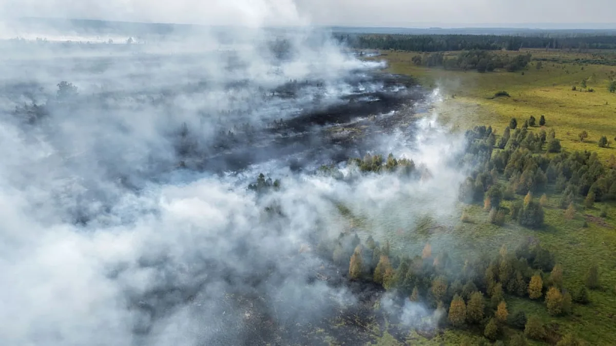 Feuerwehr warnt vor „Geruchsbelästigung“ - Feuer in Belgien riecht bis nach Köln