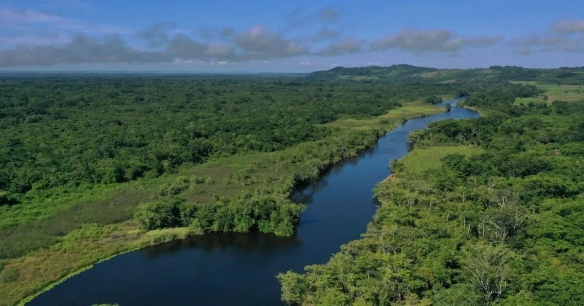 Celebran los biólogos | Guatemala puso fin a décadas de explotación petrolera en el campo Xan, ubicado dentro del Parque Nacional Laguna del Tigre, una de las zonas protegidas de la Reserva de la Biosfera Maya
