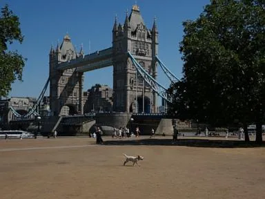 Britain to swelter again as it looks poised for a record hot summer