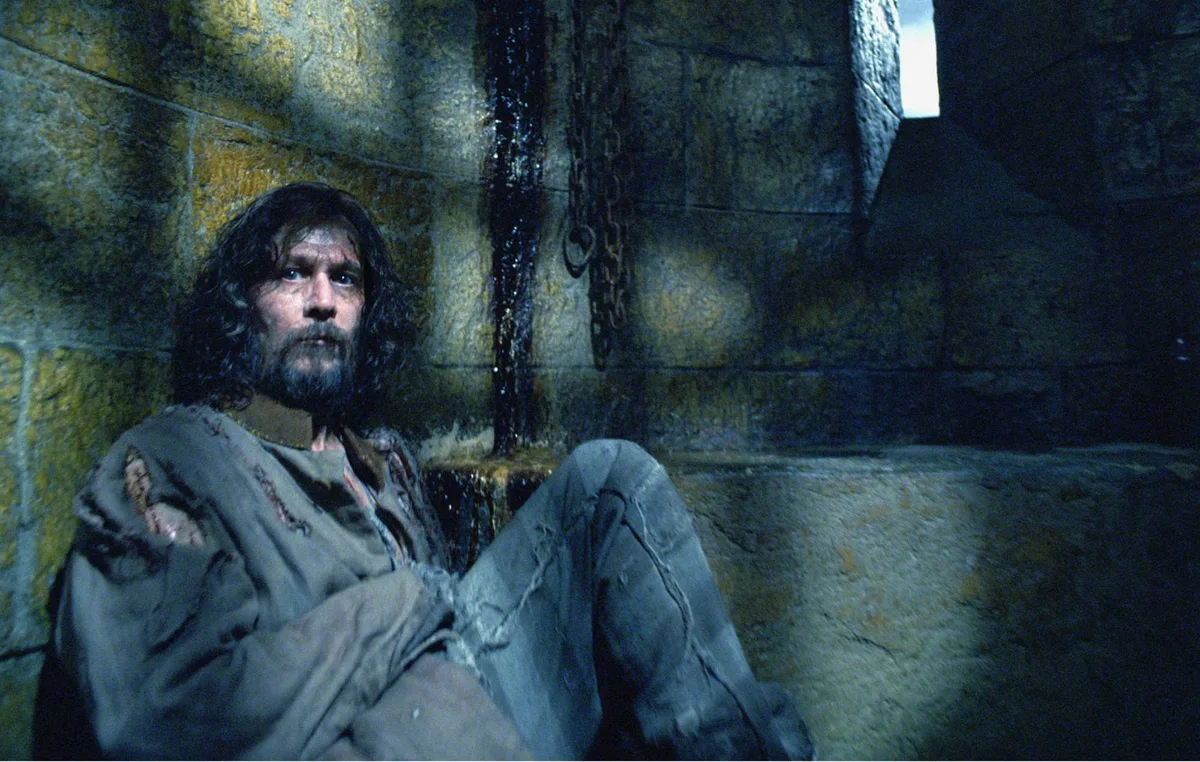 ‘Harry Potter’ TV show will be “more satisfying” than movies, says Gary Oldman