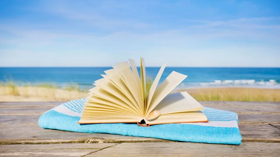 Le conseil de lecture de l'été avec la librairie Martelle à Amiens : "Recherche Lily désespérément" de Carène Ponte
