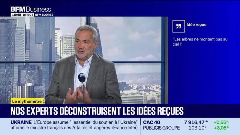 Mythomètre : "Les arbres ne montent pas au ciel !". FAUX répond David Kruk - 15/10