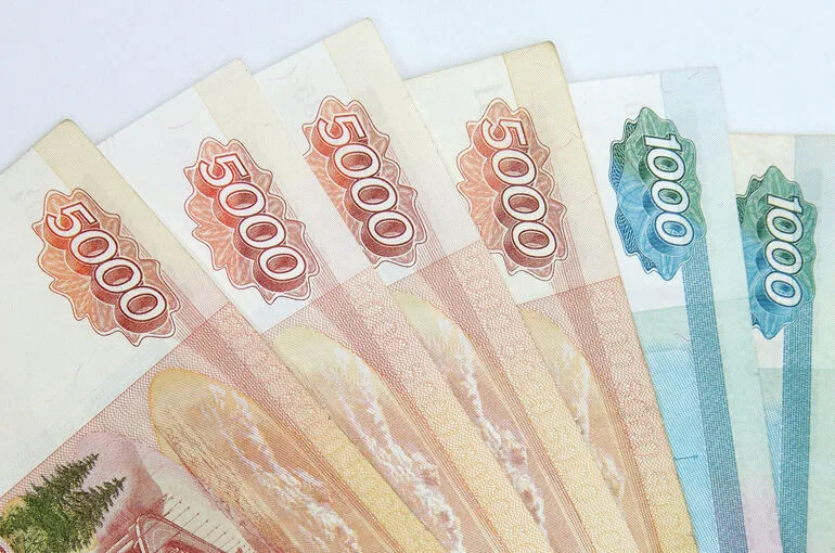 «Автодор» предложил схему компенсации расходов многодетных на платные дороги