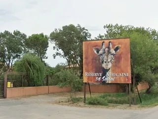 « Une naissance exceptionnelle » : la réserve de Sigean accueille un Talapoin, le plus petit singe d’Afrique