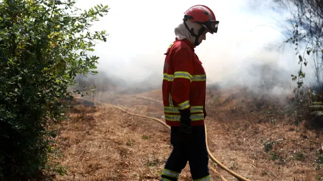 Fogo no concelho de Portel dado como dominado. Dois bombeiros feridos