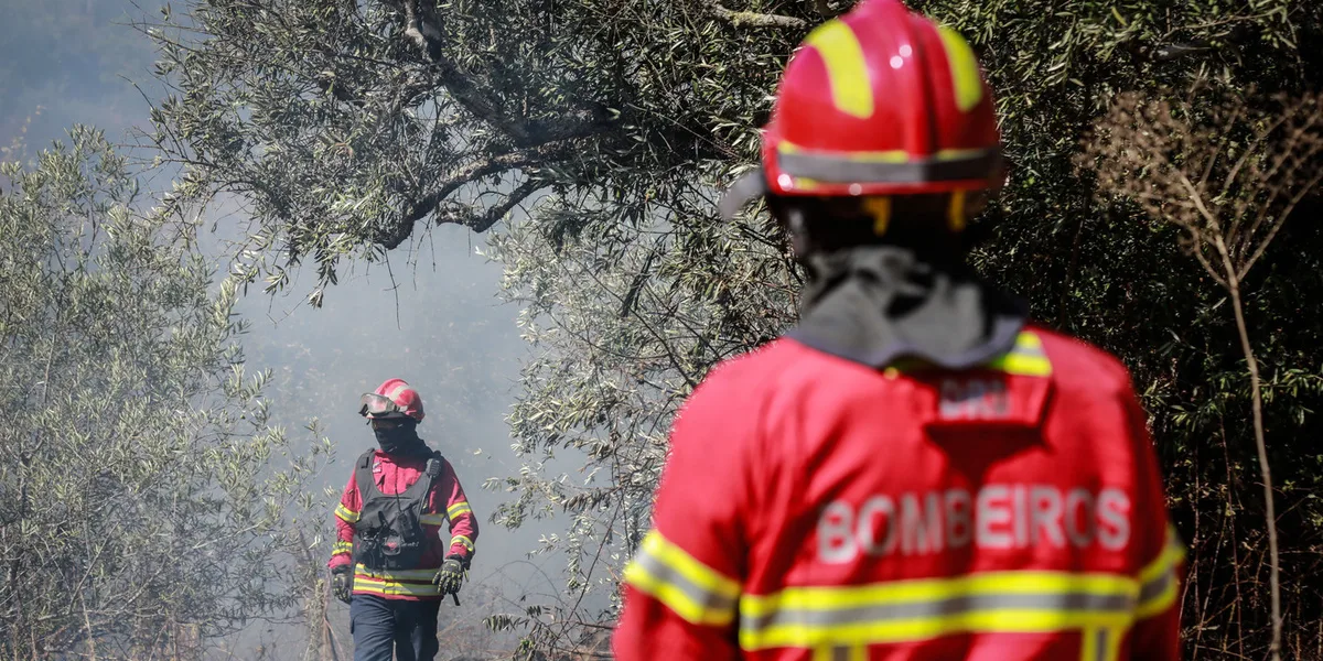 Sete concelhos em perigo máximo de incêndio. Fogos em Boticas e Arouca continuam a mobilizar operacionais