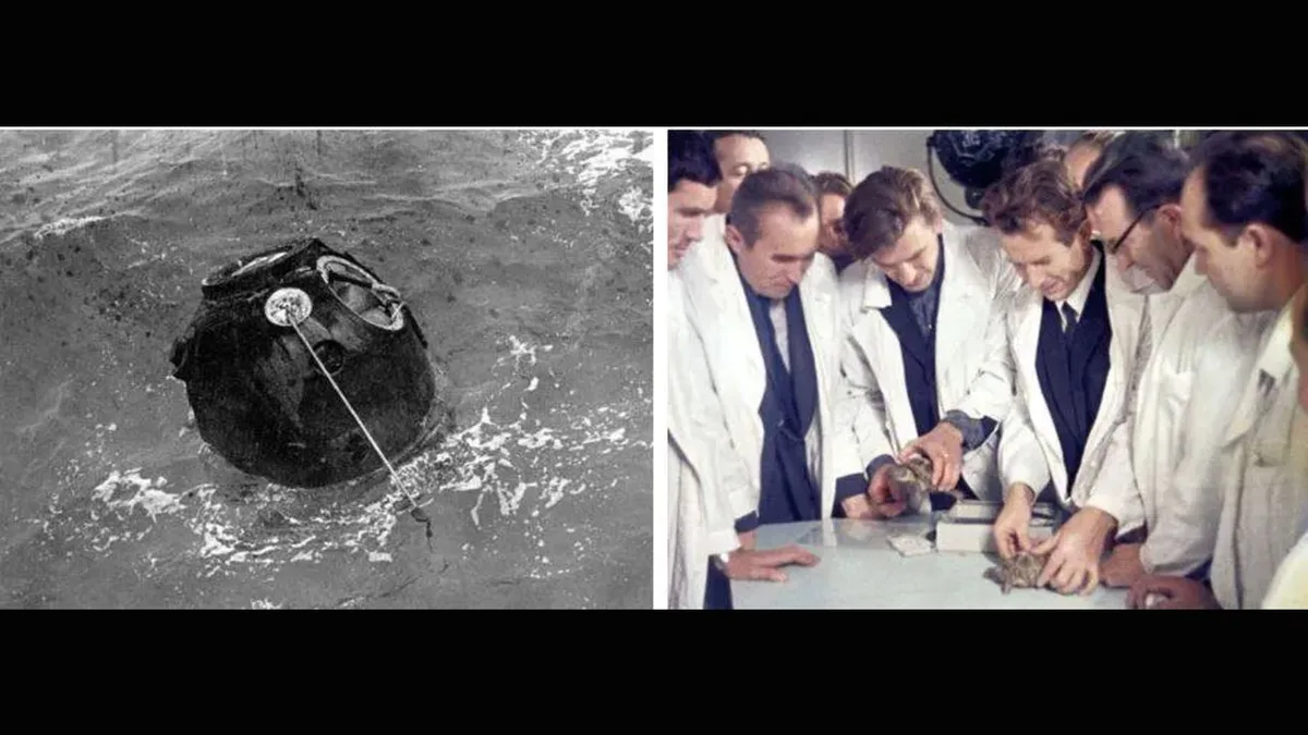 On this day in space! Sept. 15, 1968: Russian tortoises (& other critters) launch around the moon on Zond 5 spacecraft in wild first circumlunar flight