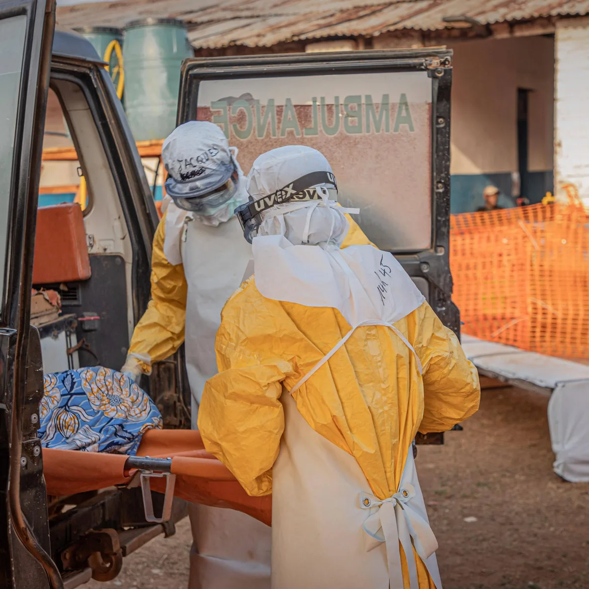 Virus-Krankheit - Mehr als 2.500 Todesfälle bei Ebola-Epidemie in DR Kongo