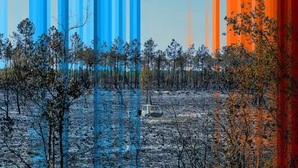 "La lutte pour limiter le réchauffement à 1,5°C, c'est la lutte pour l'humanité" : ce qu'il faut retenir du rapport de l'ONU sur le climat