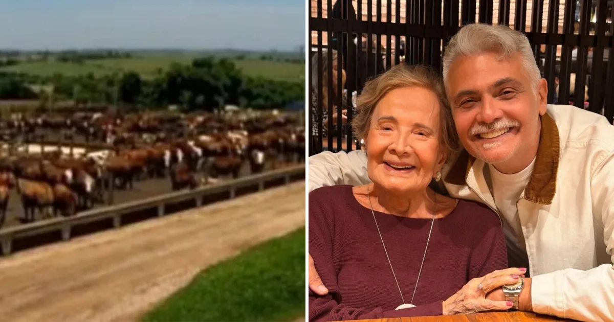 Aos 61 anos, Tarcísio Filho assume fazenda de 10 mil hectares que herdou do pai e ganha fortuna com gado; saiba como ele está hoje
