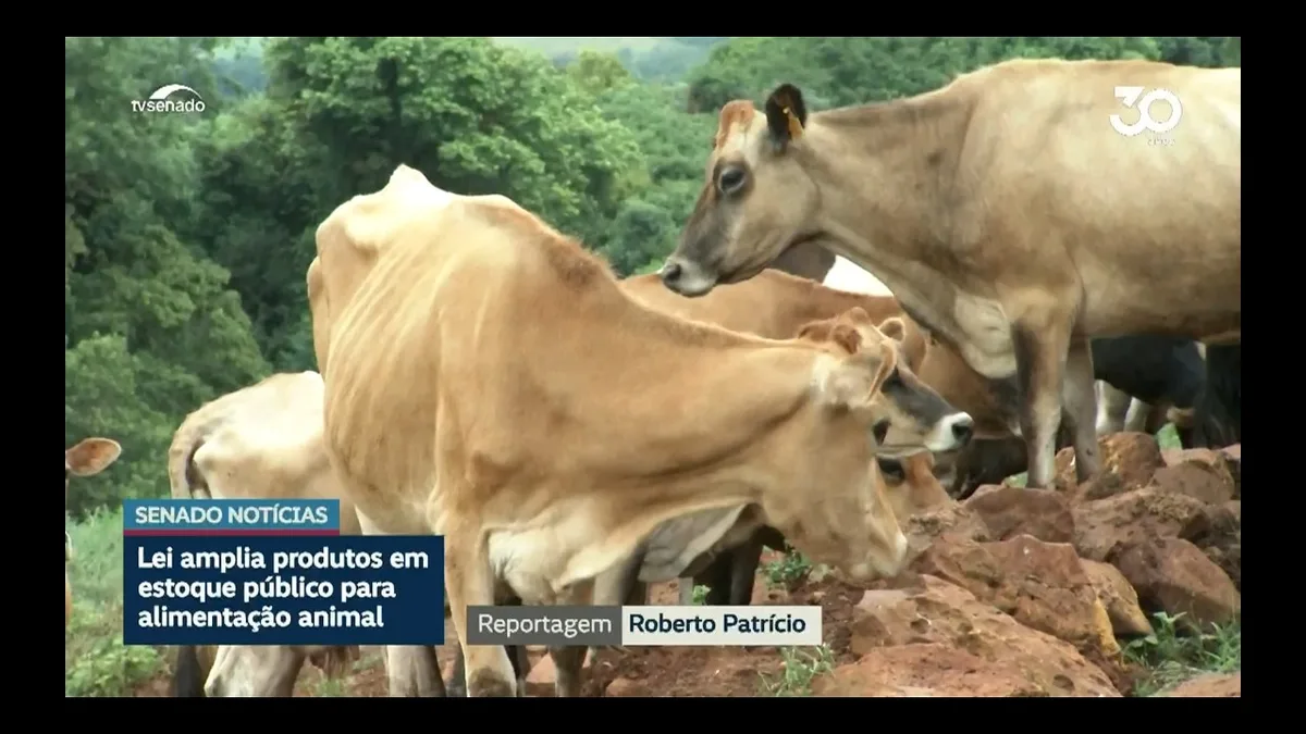 Vídeo: Sancionada lei que amplia estoques públicos de ração para animais