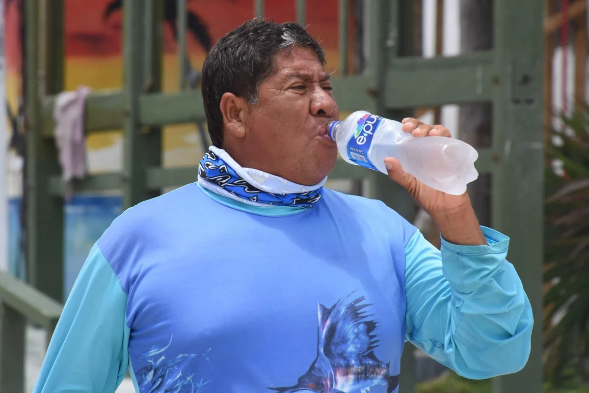 Manganitas ∙ AFA