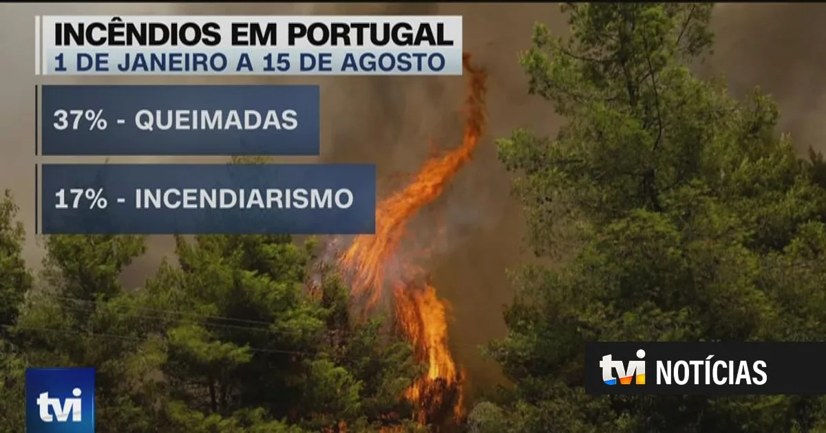 Queimadas agrícolas ou florestais foram a principal causa de incêndio até 15 de agosto