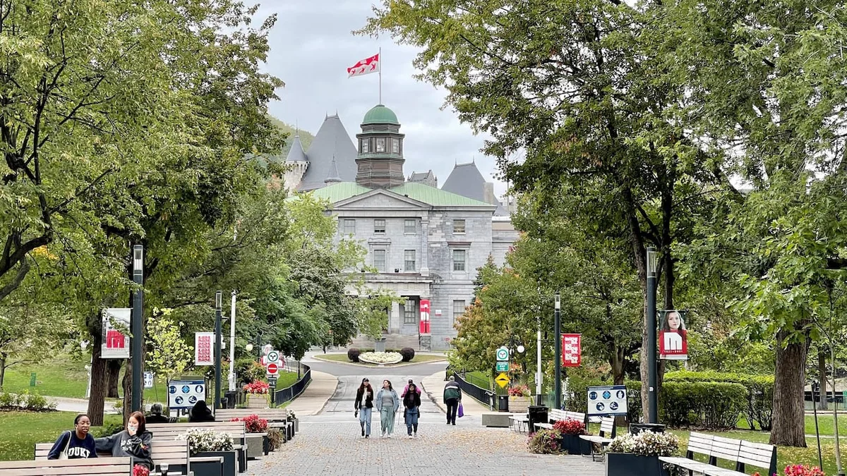 Canada poaches top American talent | About That