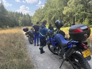 « Si on vous revoit, c’est la fourrière » : en Normandie, les gendarmes patrouillent dans les forêts