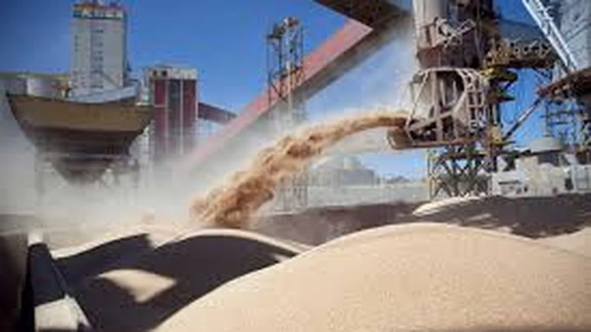 Elementa compra activos de Molinos y desembolsa u$s100 millones para reactivar una planta en Rosario