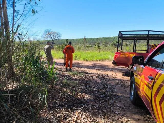 Corpo é encontrado em área de eucaliptos e morte ainda será esclarecida