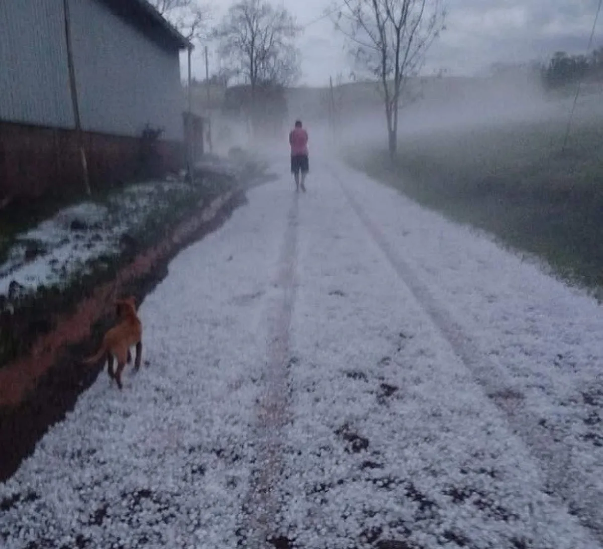 Temporais voltam ao Sul; novo ciclone deve se formar nos próximos dias