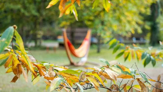 Vorhersage: Herbstliches Wetter in Rheinland-Pfalz und im Saarland