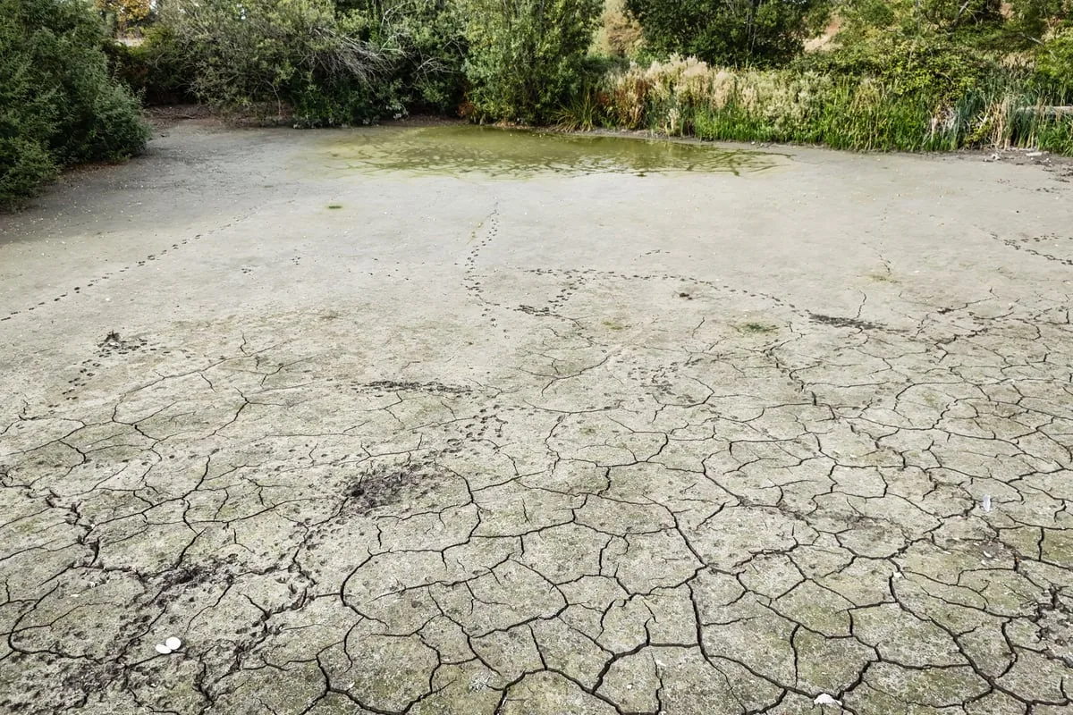 ‘Nine in 10’ adults cut back on water use as drought continues
