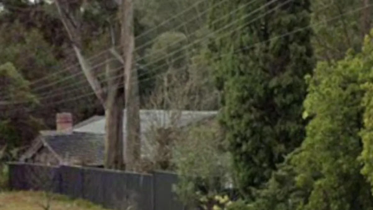 Tragedy as man, 34, dies after being trapped under van in alleged hit-and-run in Carlingford