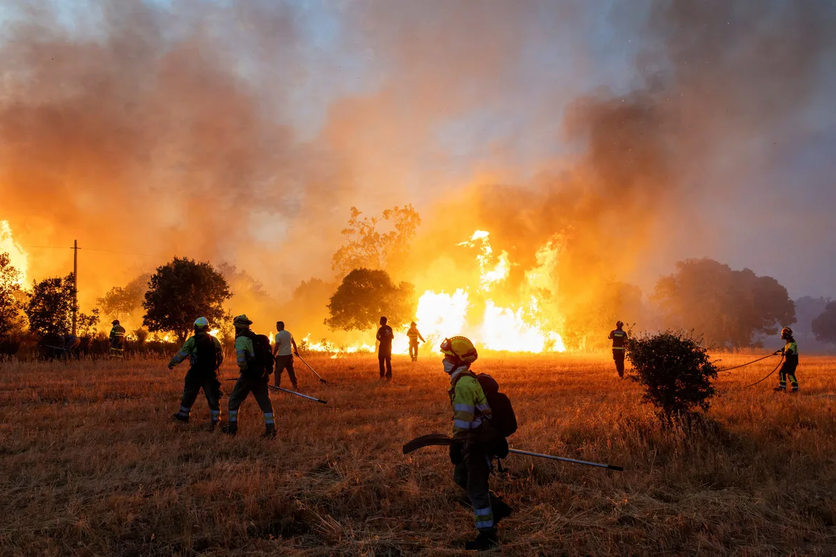 Los agricultores afectados por los incendios recibirán más de 2 millones en indemnizaciones de las aseguradoras en 2026