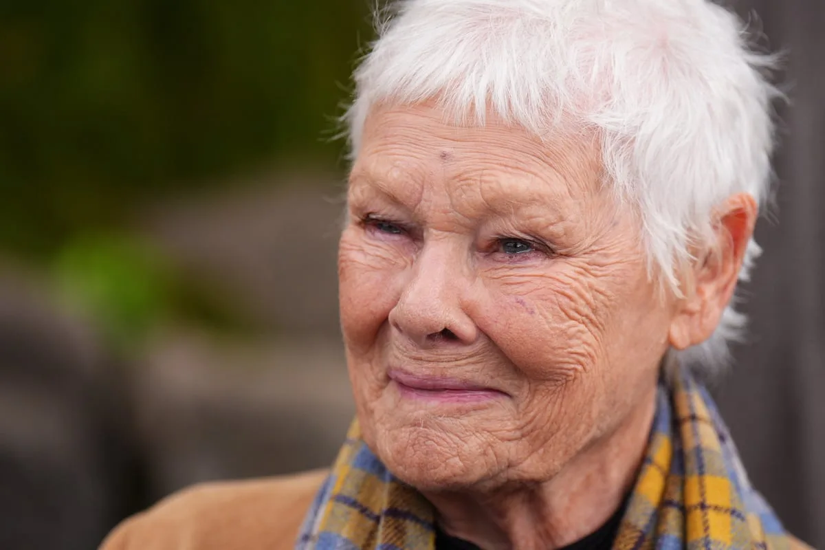 Dame Judi Dench admits she ‘loathes’ being called a ‘national treasure’
