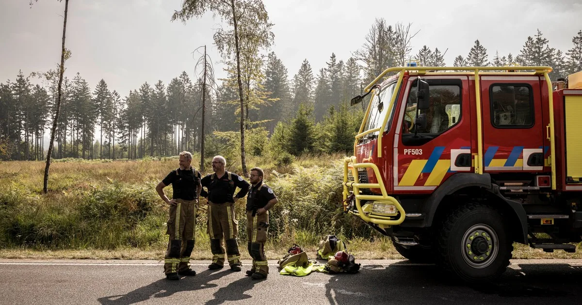 El fuego en Europa no se detiene: Bélgica combate un gran incendio forestal y hay dos muertos en Grecia