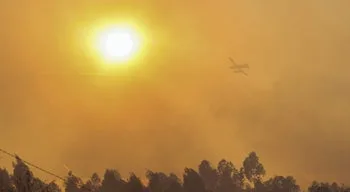 Incêndio no concelho de Tábua em resolução