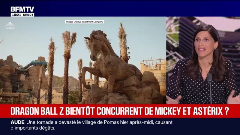 L'Arabie saoudite est "un partenaire clé dans la région avec lequel on travaille aussi sur des enjeux géopolitiques", estime Éléonore Caroit, ministre déléguée aux Partenariats internationaux