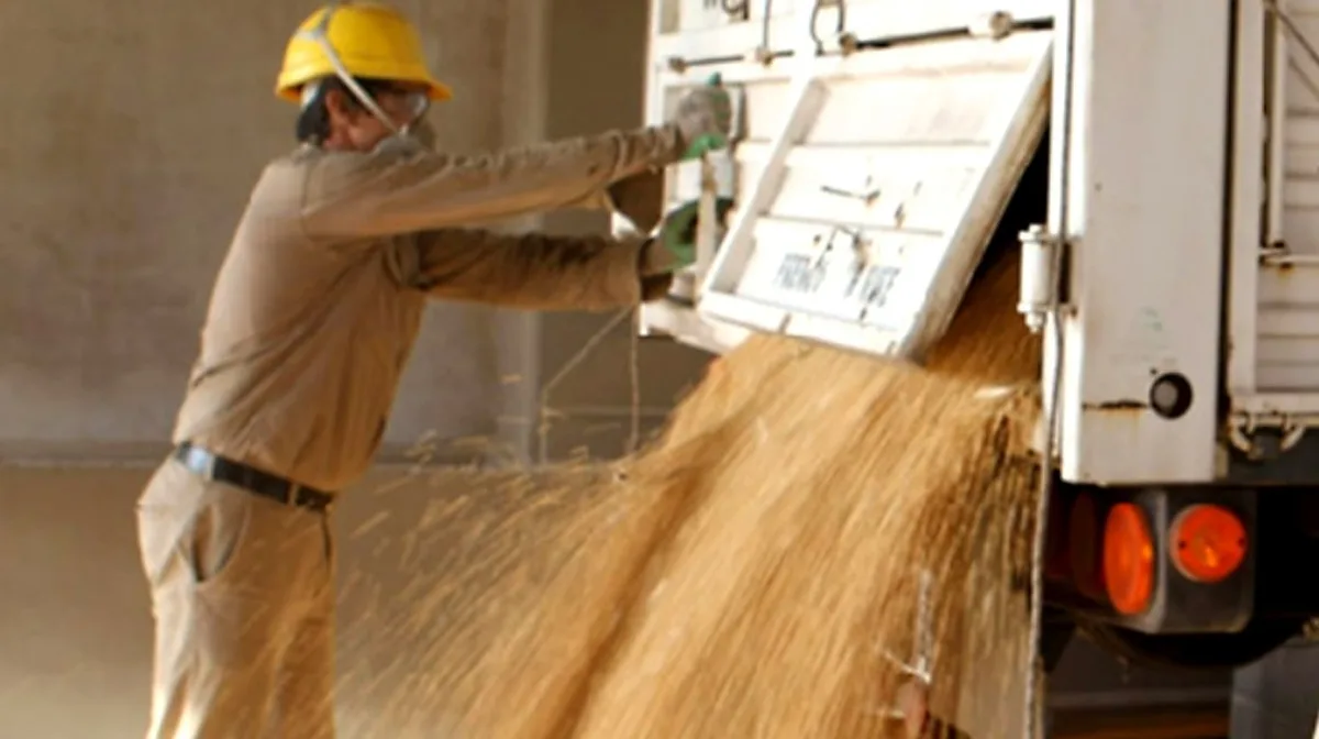 Las exportaciones agrícolas alcanzaron un récord histórico de 80,7 millones de toneladas hasta agosto