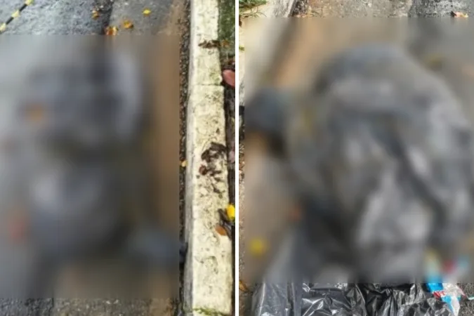 Polícia apura onda de assassinatos em SP; corpos estavam em sacos de lixos
