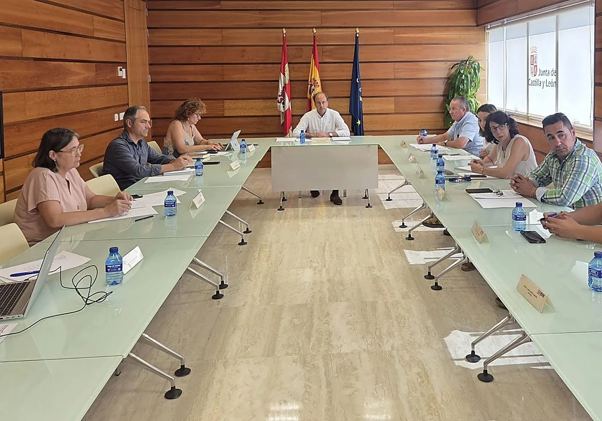 La Junta aborda con las opas medidas para mejorar la rentabilidad del sector apícola