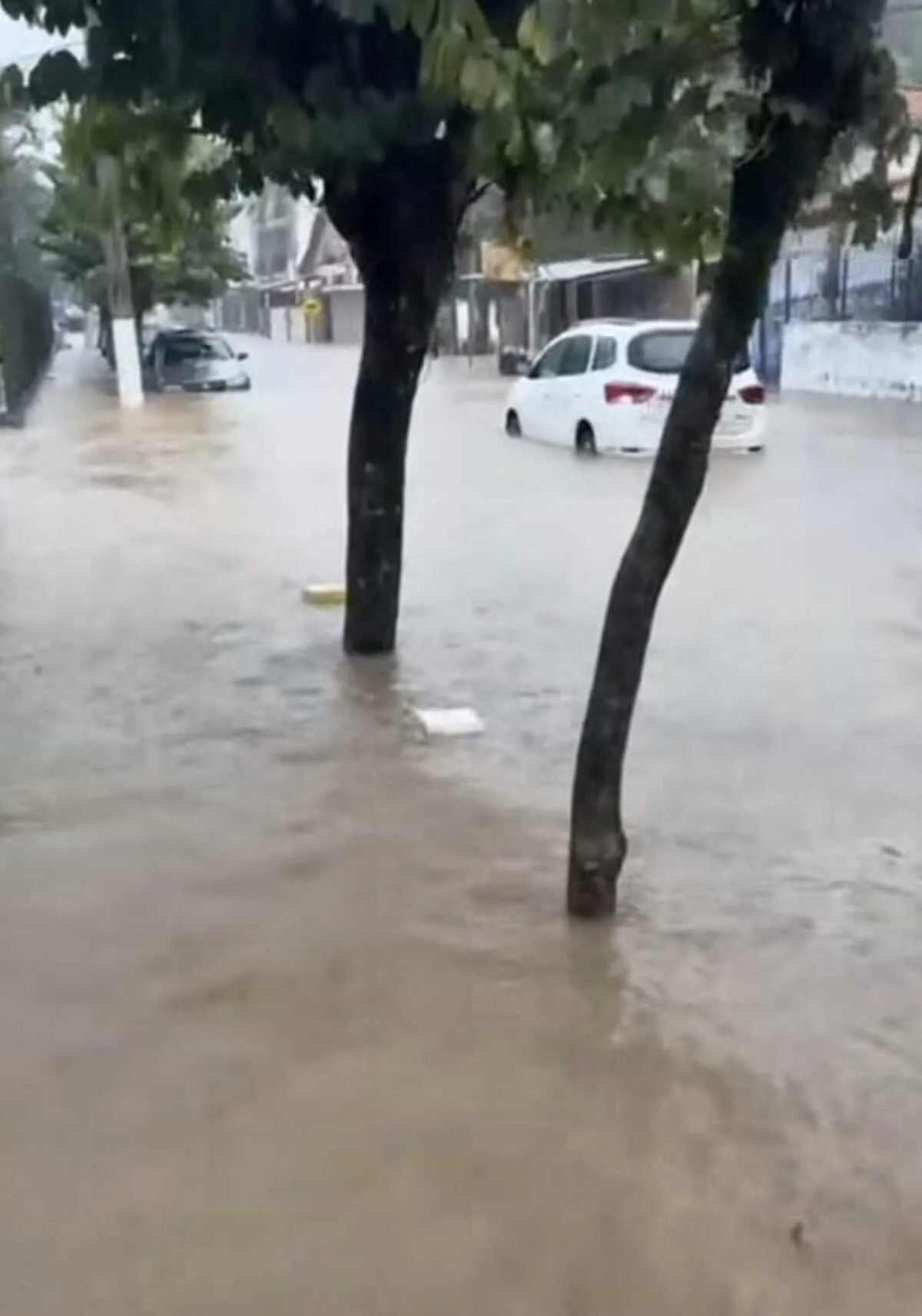 VÍDEO: Chuva de 95 mm mobiliza Defesa Civil, causa alagamentos e queda de árvore em Vassouras