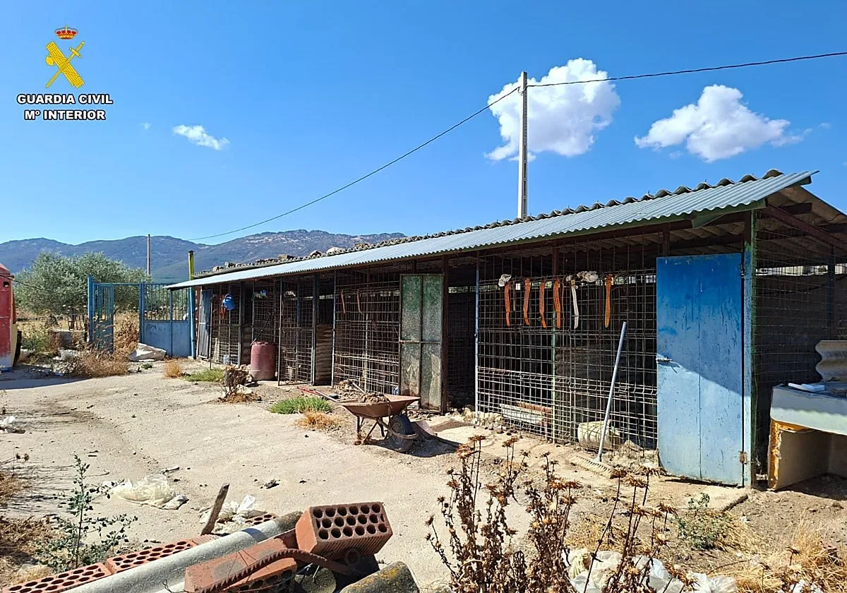 Detenido tras hallar 14 perros muertos en una rehala de la comarca toledana de La Jara