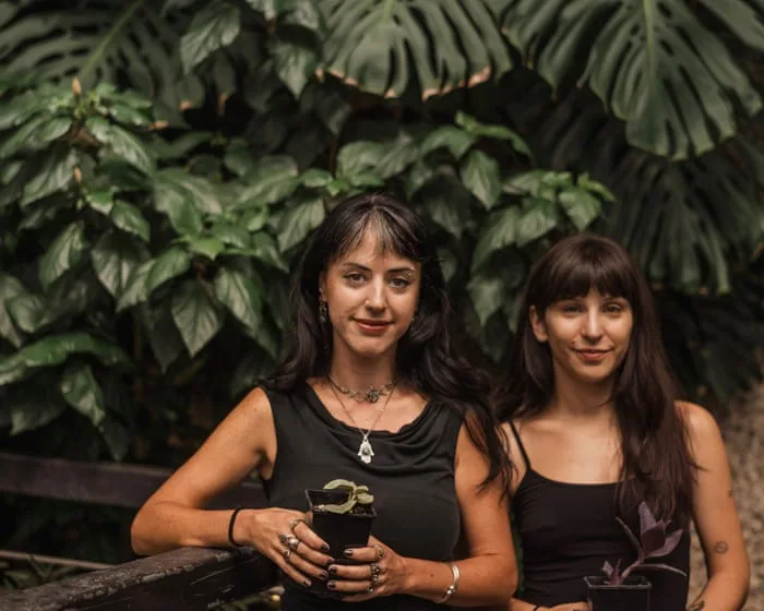 Monstera magic: Barbican hands out cuttings as ‘green lung of the city’ closes