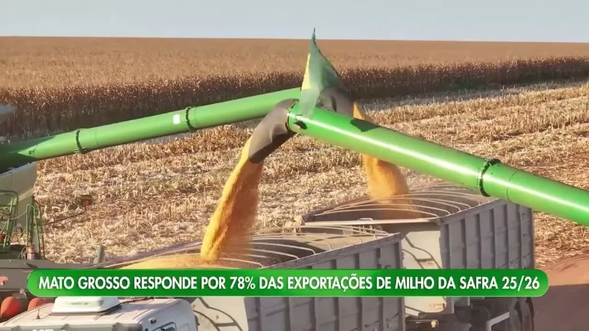 Exportações de milho de Mato Grosso crescem 1,5% no início da safra 2025/26