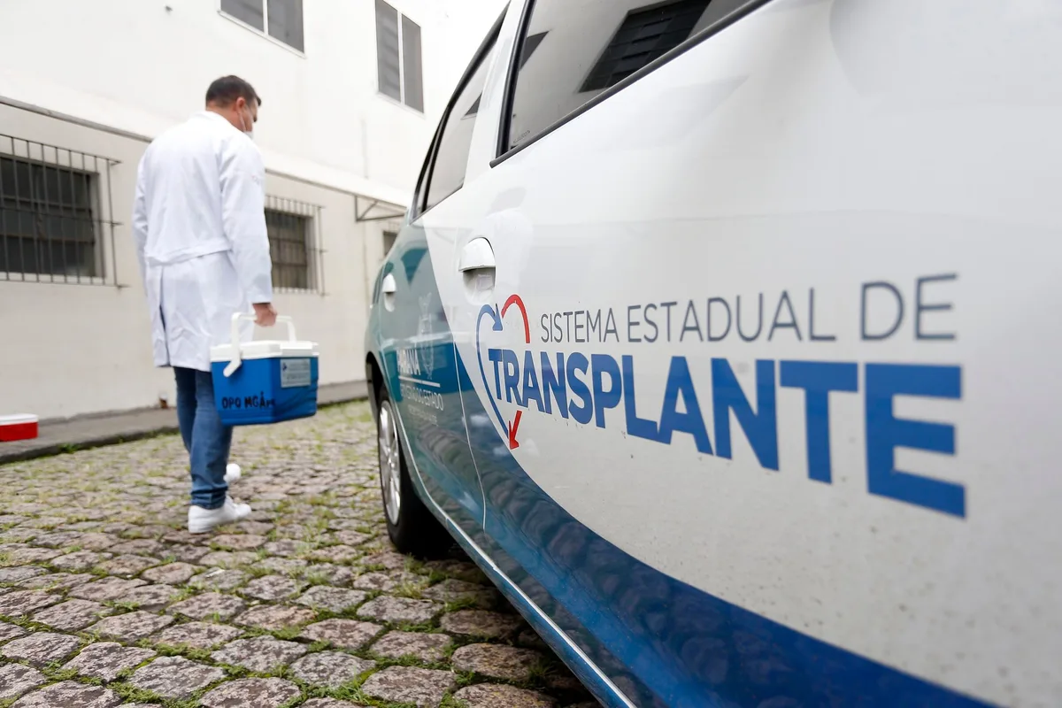 Paraná atinge a marca de 10 mil transplantes em 15 anos