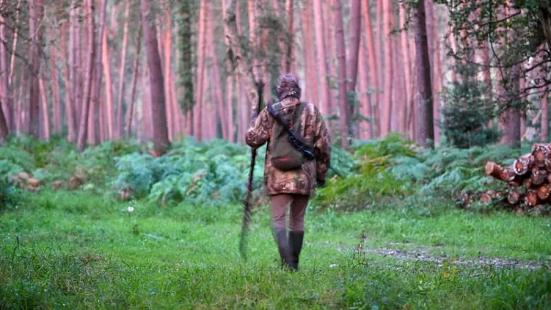 Sécheresse, incendie... Les associations veulent reporter l'ouverture de la chasse "pour laisser le temps à la nature de se remettre"