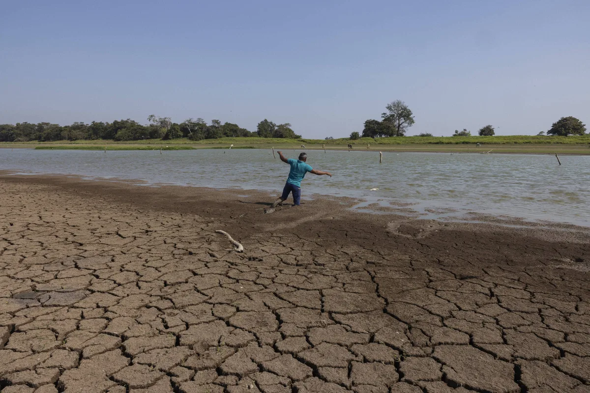 Cientistas usam 'impressão digital' da água para mapear alterações nas chuvas da amazônia