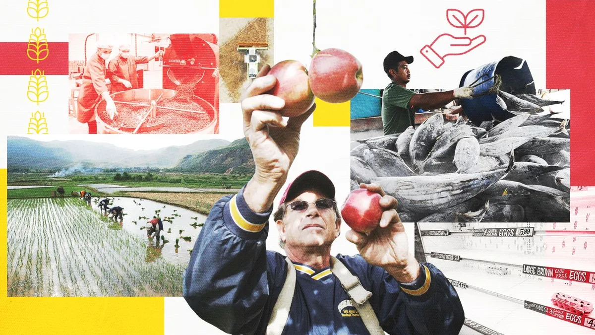 'The apple you eat isn't the apple your granddaughter will eat': What's on the menu in a warming world?