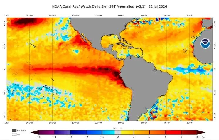 Seis ondas de calor sob El Niño ameaçam safra e põem cidades em alerta até o fim do ano